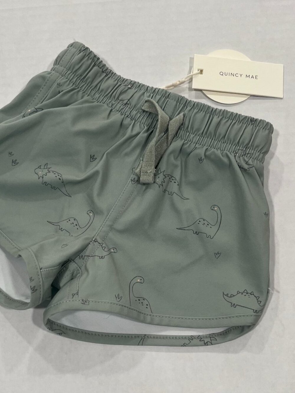 Quincy Mae Boys Dino Print Swim Trunks in Sage Green